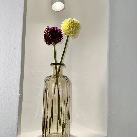 In Center With Pool Ferienhaus