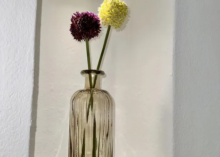 In Center With Pool 度假居